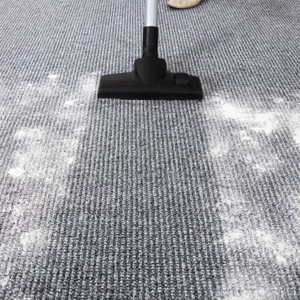 carpet-cleaning-1 carpet-cleaning-1